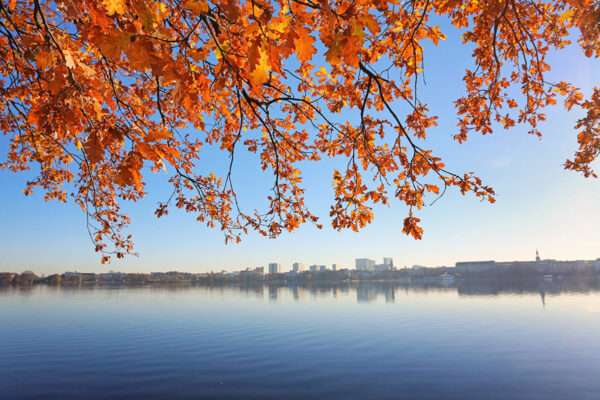 Herbst in Hamburg